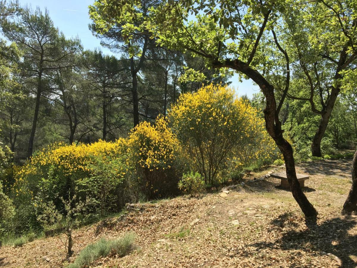 Villa De Carbonelle Pierrevert 外观 照片